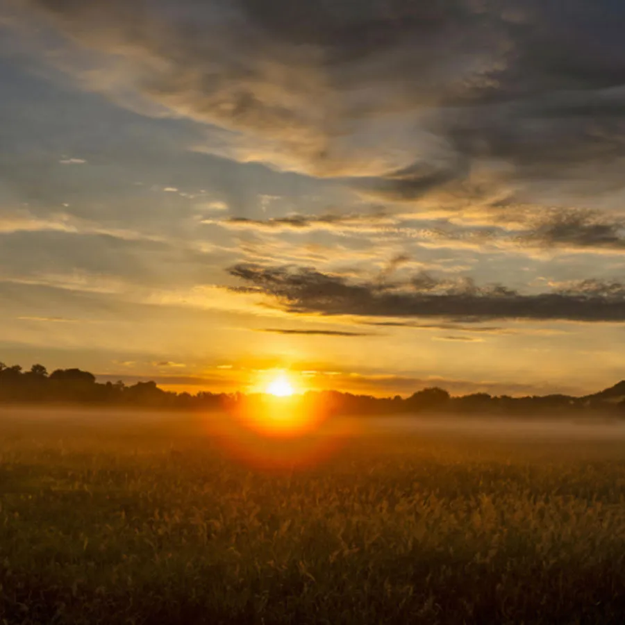 Sunrise over misty grasslands near the Kosi River