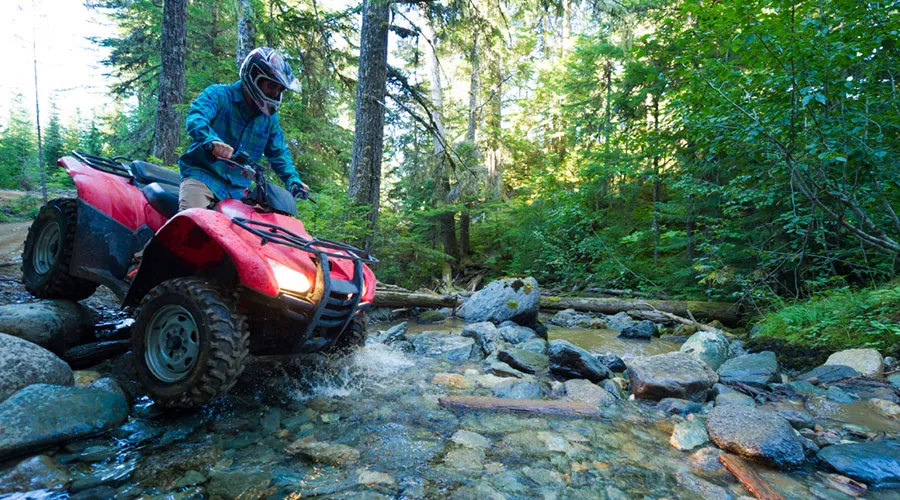 ATV quad biking through a forest stream