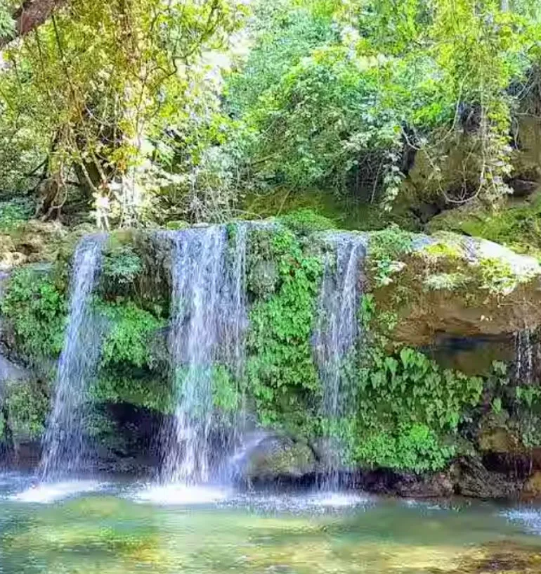 Barati Rau waterfall cascading through the forest